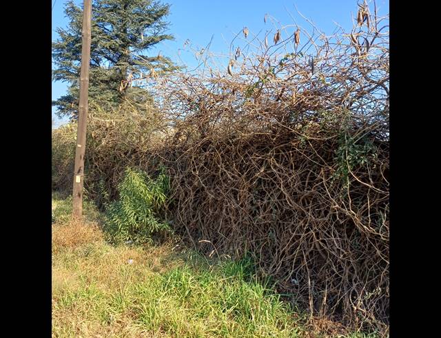 4,006M² VACANT LAND FOR SALE IN HIGHBURY